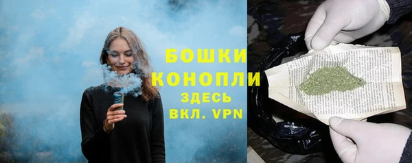 соль ск Лиски