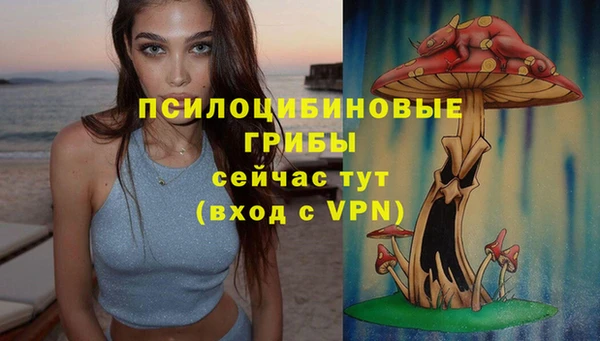 прущий лед Лихославль