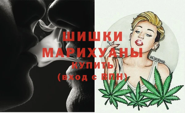соль ск Лиски