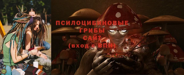 соль ск Лиски