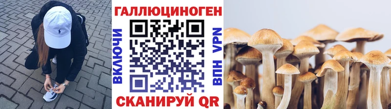 Купить закладки  Каргат  Галлюциногенные грибы ЛСД 